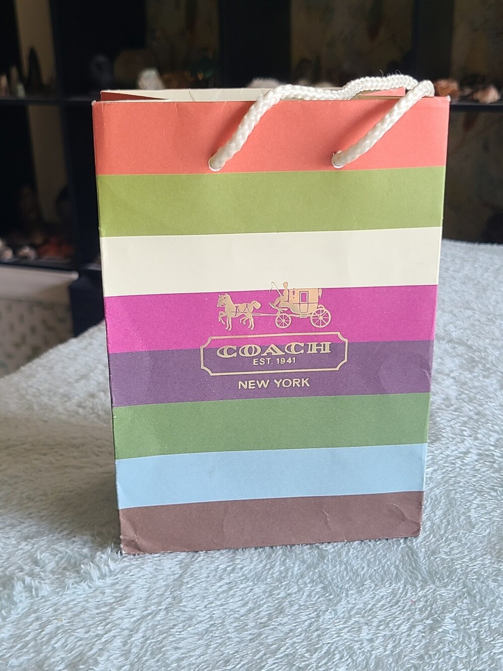 Coach Rainbow Stripe Gift Bag with Rope Handle